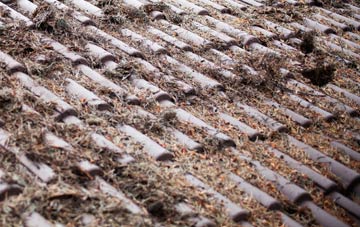 Stebbing roof cleaning companies